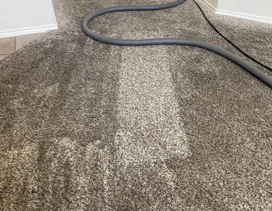 Johnny Brothers Steam Carpet Cleaning - Carpet Care in Dallas Texas, Carpet Cleaning in Dallas Texas (5)
